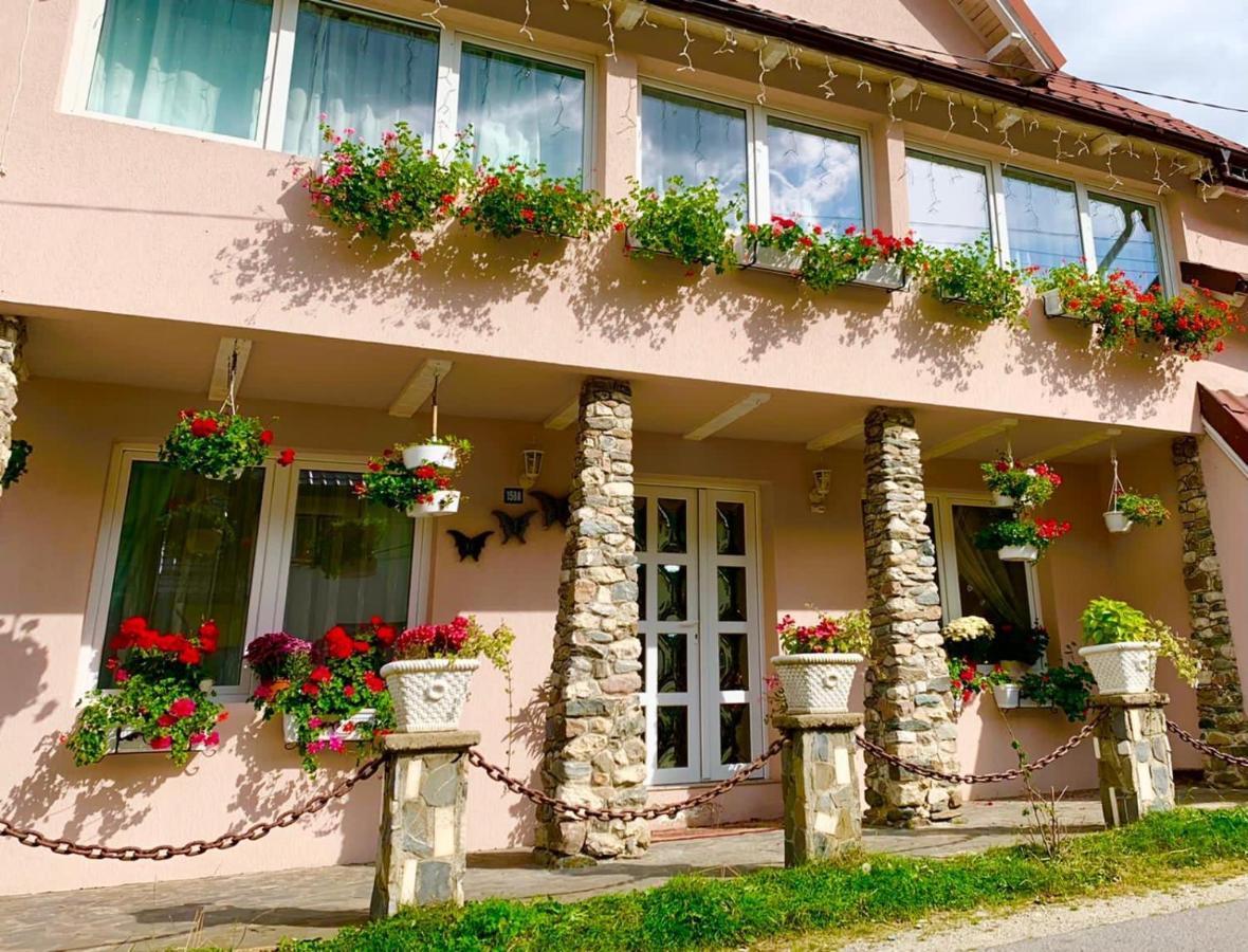 Anelisse Inn Moeciu De Sus Ngoại thất bức ảnh